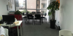 上海櫻本投資咨詢 專業(yè)服務(wù)，賦能企業(yè)戰(zhàn)略與資本決策